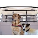 Grille chien