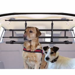 Grille chien